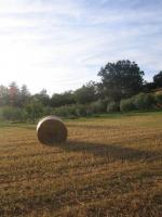 image12