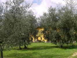 image5